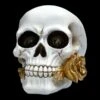 Weißer Totenkopf Mit Rose - Floral Fate -Figurenmodell Geschäft FS22277 Weisser Totenkopf mit Rose Floral Fate 2ZqVLqwSLQQ9Sw 1280x1280