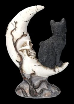 Totenkopf Mond Mit Schwarzer Katze 13 Totenkopf Mond Mit Schwarzer Katze -Figurenmodell Geschäft FS23935 Totenkopf Mond mit schwazer Katze 4 1280x1280