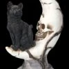 Totenkopf Mond Mit Schwarzer Katze