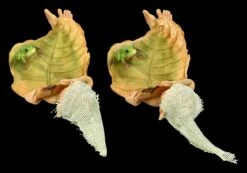 Pixie Kobold Figur - Blätter Bett 2er Set -Figurenmodell Geschäft FS24657 Pixie Kobold Figur Blatter Bett 2er 4 1280x1280