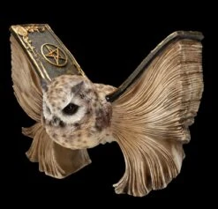 Eulen Figur Braun - Botschafterin Mit Buchflügeln -Figurenmodell Geschäft FS25623 Eulen Figur braun Botschafter mit Buchfl geln 2 1280x1280