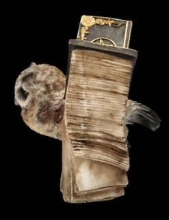 Eulen Figur Braun - Botschafterin Mit Buchflügeln -Figurenmodell Geschäft FS25623 Eulen Figur braun Botschafter mit Buchfl geln 4 1280x1280