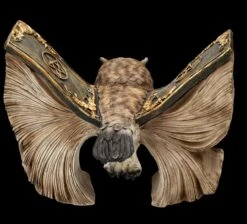 Eulen Figur Braun - Botschafterin Mit Buchflügeln -Figurenmodell Geschäft FS25623 Eulen Figur braun Botschafter mit Buchfl geln 6 1280x1280