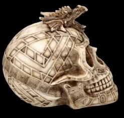 Totenkopf - Keltischer Drache 15 Totenkopf - Keltischer Drache -Figurenmodell Geschäft FS25698 Totenkopf keltischer DRache 8 1280x1280