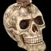 Totenkopf - Keltischer Drache -Figurenmodell Geschäft FS25698 Totenkopf keltischer DRache 9 1280x1280