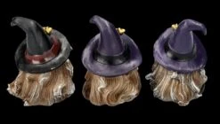Lustige Hexen Figuren 3er Set 14 Lustige Hexen Figuren 3er Set -Figurenmodell Geschäft FS25723 Lustige Hexen Figuren 3er Set 6 1280x1280