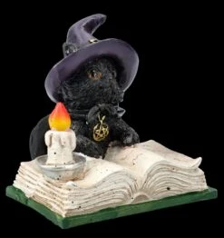 Hexen Katzen Figur - Familiars Spell -Figurenmodell Geschäft FS25746 Hexen Katzen Figur Familiars Spell 9 1280x1280