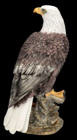 Adler Figur - Amerikanischer Weißkopfseeadler -Figurenmodell Geschäft FS25794 Adler Figur Amerikanischer Weisskopfseeadler 5 1280x1280