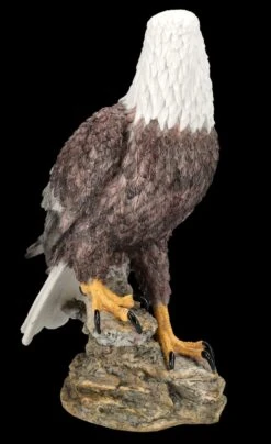 Adler Figur - Amerikanischer Weißkopfseeadler -Figurenmodell Geschäft FS25794 Adler Figur Amerikanischer Weisskopfseeadler 7 1280x1280