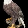 Adler Figur - Amerikanischer Weißkopfseeadler -Figurenmodell Geschäft FS25794 Adler Figur Amerikanischer Weisskopfseeadler 9 1280x1280