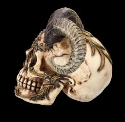 Totenkopf Figur Mit Hörnern - Diablo Skull -Figurenmodell Geschäft FS26190 Totenkopf Figur mit H rnern Diablo Skull 4 1280x1280
