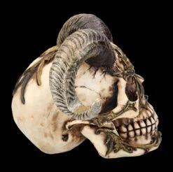 Totenkopf Figur Mit Hörnern - Diablo Skull -Figurenmodell Geschäft FS26190 Totenkopf Figur mit H rnern Diablo Skull 8 1280x1280