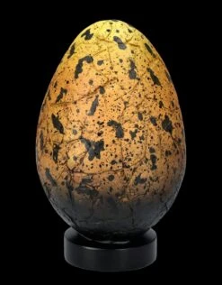 Drachen Ei Versteinert -Figurenmodell Geschäft FS27030 Drachen Ei versteinert 10 1280x1280