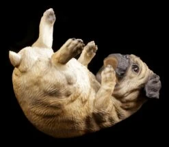 Flaschenhalter - Säufer Mops -Figurenmodell Geschäft Flaschenhalter Mops 4 1280x1280