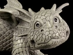 Drachen Gartenfigur - Mein Revier 13 Drachen Gartenfigur - Mein Revier -Figurenmodell Geschäft Garten Drachen Pi 5 1280x1280
