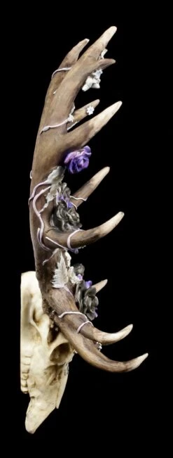 NEMESIS NOW Wandrelief Geweih - Antlers Of Eden 10 NEMESIS NOW Wandrelief Geweih - Antlers Of Eden -Figurenmodell Geschäft Geweih Wandrelief Antlers Of Eden 2 1280x1280