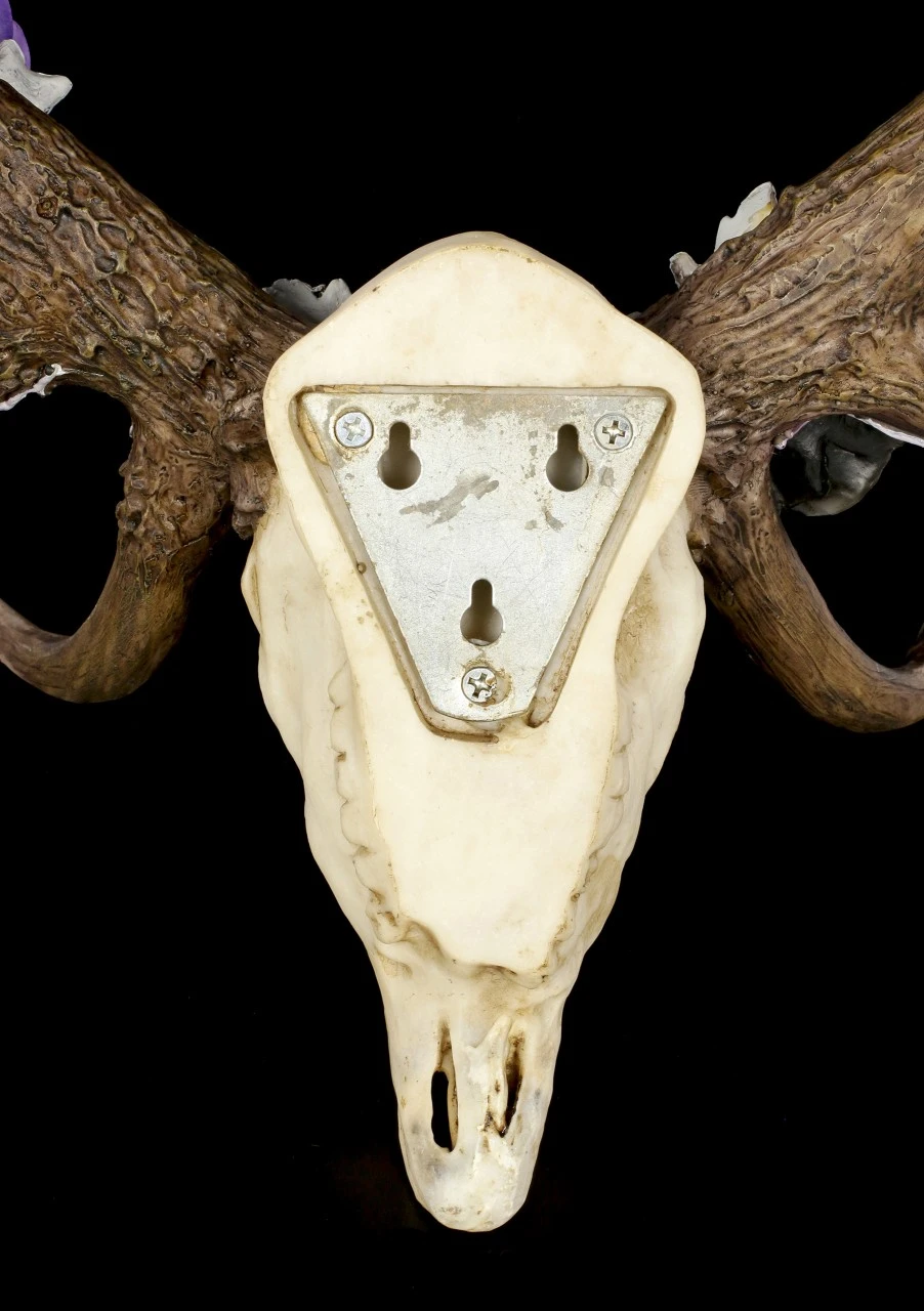 NEMESIS NOW Wandrelief Geweih - Antlers Of Eden 7 NEMESIS NOW Wandrelief Geweih - Antlers Of Eden – Bild 5