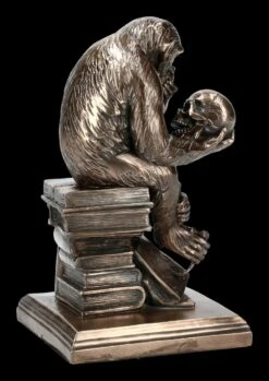 Affe Mit Schädel - Hugo Rheinhold -Figurenmodell Geschäft KS3216 Affe mit Schaedel Hugo Rheinhold 6 1280x1280