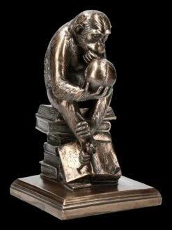 Affe Mit Schädel - Hugo Rheinhold -Figurenmodell Geschäft KS3216 Affe mit Schaedel Hugo Rheinhold 8 1280x1280