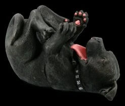 NEMESIS NOW Staffordshire Bullterrier Figur Als Flaschenhalter -Figurenmodell Geschäft KS4966 Staffordshire Bullterrier Figur als Flaschenhalter 27E5etONomnRwN 1280x1280