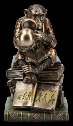 Affe Mit Schädel - Darwinismus Evolutionstheorie -Figurenmodell Geschäft KS5214 Affe mit Schaedel Darwinismus Evolutionstheorie 2 1280x1280