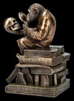 Affe Mit Schädel - Darwinismus Evolutionstheorie -Figurenmodell Geschäft KS5214 Affe mit Schaedel Darwinismus Evolutionstheorie 5 1280x1280