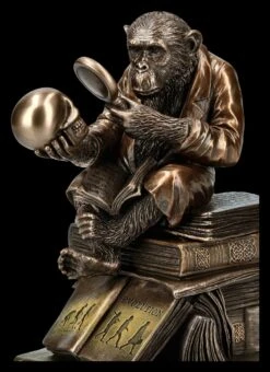 Affe Mit Schädel - Darwinismus Evolutionstheorie -Figurenmodell Geschäft KS5214 Affe mit Schaedel Darwinismus Evolutionstheorie 9 1280x1280