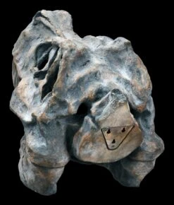 Totenkopf - Tyrannosaurus Rex - Groß -Figurenmodell Geschäft ML11827 Totenkopf Tyrannosaurus Rex gross 6 1280x1280