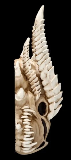 Wandrelief - Drachen Totenkopf Kryss -Figurenmodell Geschäft ML6578 Drachen Totenkopf Wanddeko 5 1280x1280