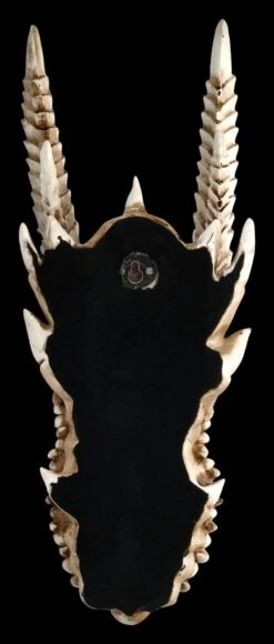 Wandrelief - Drachen Totenkopf Kryss -Figurenmodell Geschäft ML6578 Drachen Totenkopf Wanddeko 6 1280x1280
