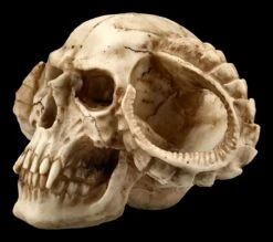 Totenkopf - Gehörnter Teufel -Figurenmodell Geschäft ML8756 Totenkopf Gehoernter Teufel 3 1280x1280