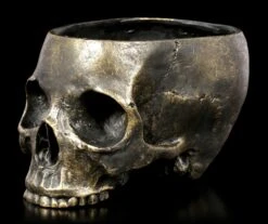 Totenkopf Blumentopf - Antik-Optik -Figurenmodell Geschäft Menschlicher Totenkopf Blumentopf 2 1280x1280