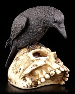 Raben Figur Auf Totenschädel -Figurenmodell Geschäft Rabe Totenkopf 2 1280x1280