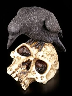 Raben Figur Auf Totenschädel -Figurenmodell Geschäft Rabe Totenkopf 5 1280x1280