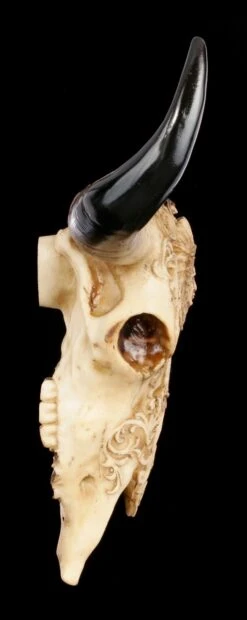 Rinder Schädel Mit Indianerkopf - Old Spirit -Figurenmodell Geschäft Rinder Bullen Schaedel Mit Indianerkopf Old Spirit 2 1280x1280