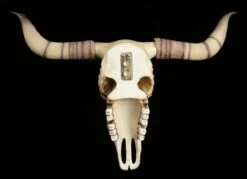 Longhorn Rinderschädel -Figurenmodell Geschäft Rinder Totenkopf Wanddeko 2 1280x1280