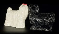 Salz Und Pfeffer Streuer - Malteser Hunde -Figurenmodell Geschäft Salz Pfeffer Hund Malteser 3 1280x1280