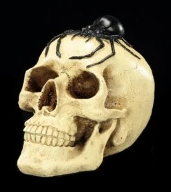 Spardose - Totenkopf Mit Spinne -Figurenmodell Geschäft Spardose Totenkopf Spinne 2 1280x1280