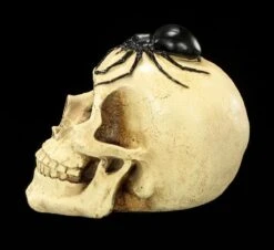 Spardose - Totenkopf Mit Spinne -Figurenmodell Geschäft Spardose Totenkopf Spinne 3 1280x1280