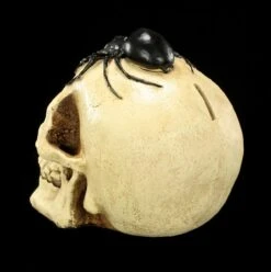 Spardose - Totenkopf Mit Spinne -Figurenmodell Geschäft Spardose Totenkopf Spinne 4 1280x1280