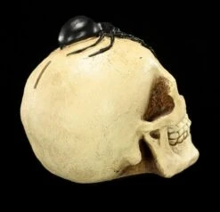 Spardose - Totenkopf Mit Spinne -Figurenmodell Geschäft Spardose Totenkopf Spinne 6 1280x1280