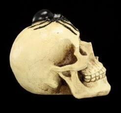 Spardose - Totenkopf Mit Spinne -Figurenmodell Geschäft Spardose Totenkopf Spinne 7 1280x1280