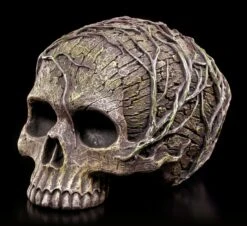 Totenkopf - Hexenschädel Waldgeist -Figurenmodell Geschäft Totenkopf Waldgeist 2 1280x1280