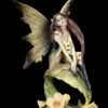 Waldelfen Figur - Suma Sitzt Auf Blatt
