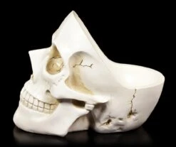 Weiße Totenkopf Schale -Figurenmodell Geschäft Weisse Totenkopf Schale 3 1280x1280