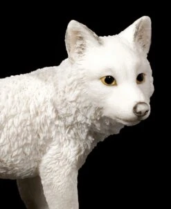 Weisse Wolf Figur - Welpe Stehend -Figurenmodell Geschäft Weisse Wolf Figur Welpe Stehend 5 1280x1280