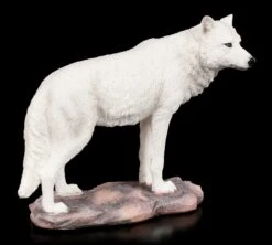 Wolf Figur - White Spirit -Figurenmodell Geschäft White Spirit Wolf Figur 4 1280x1280